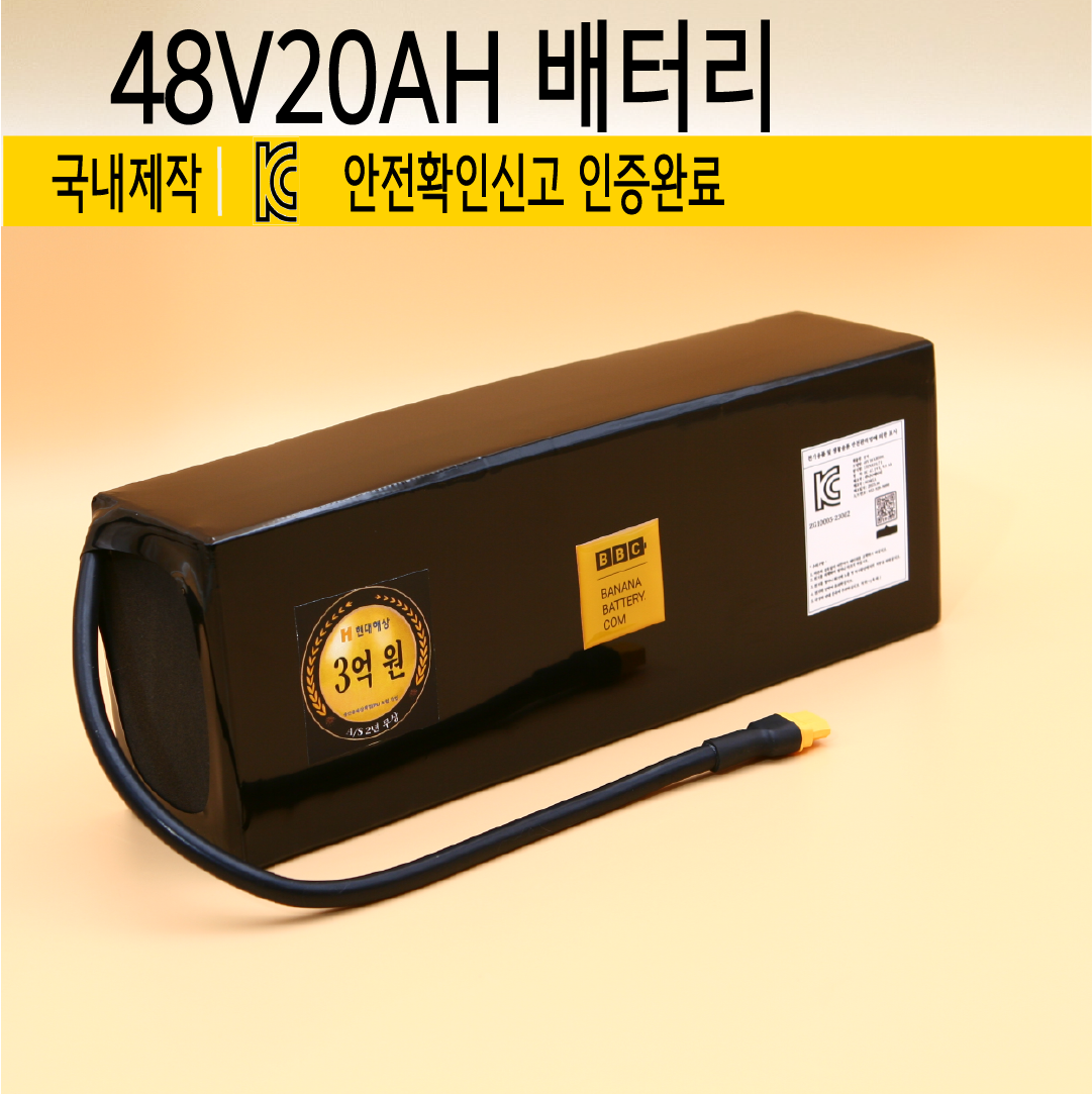 48V 20AH 보조배터리