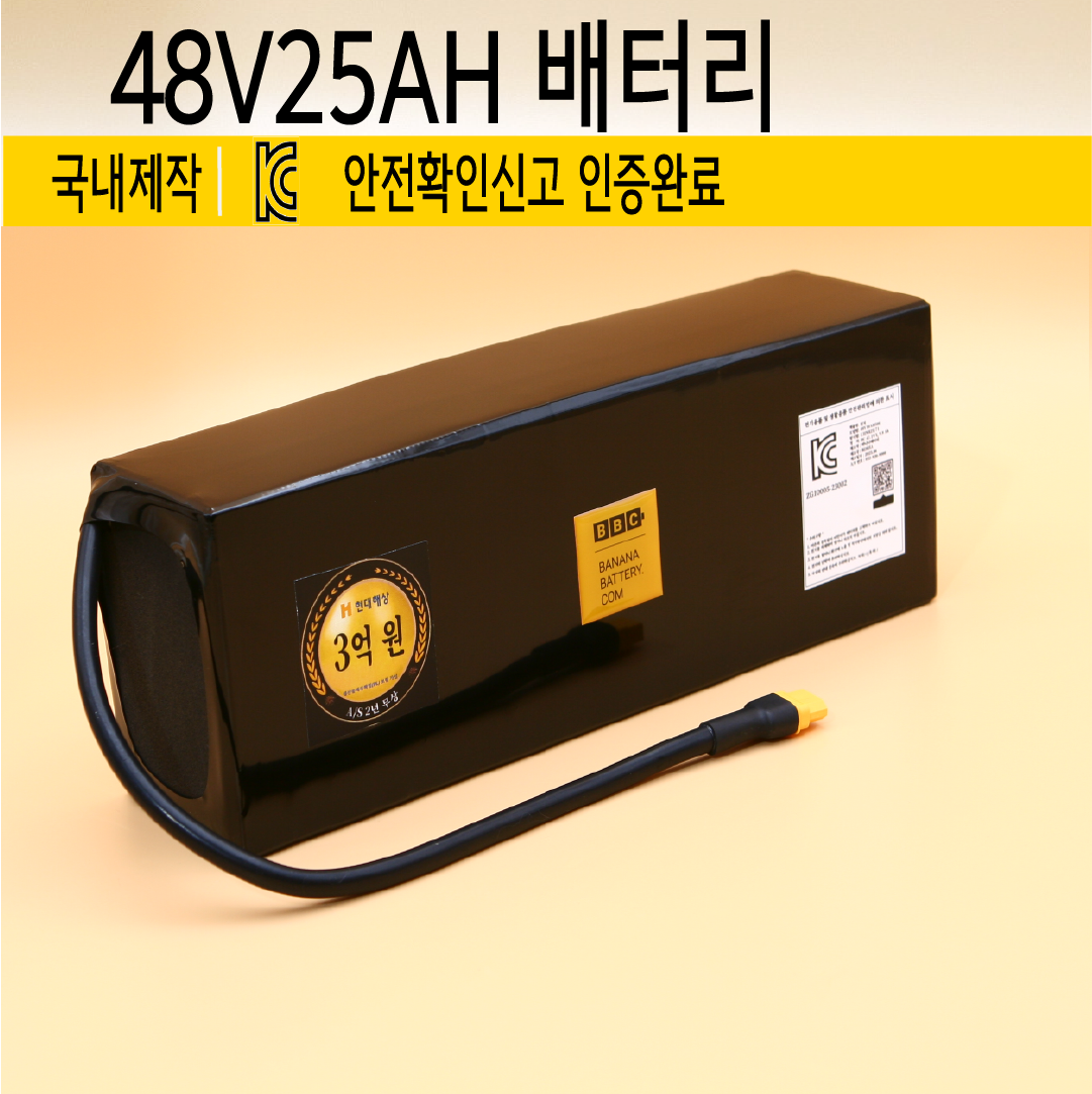 48V 25AH 보조배터리